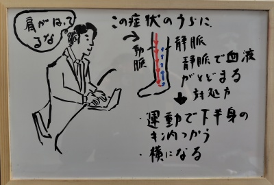 足の血液の循環が肩こりに影響