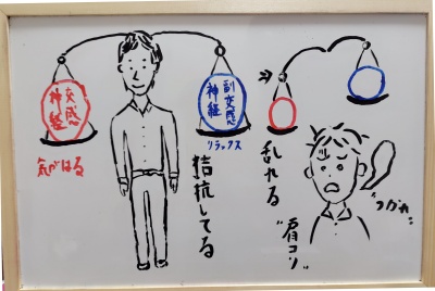 自律神経の乱れ説明